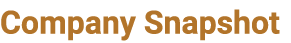 Company Snapshot